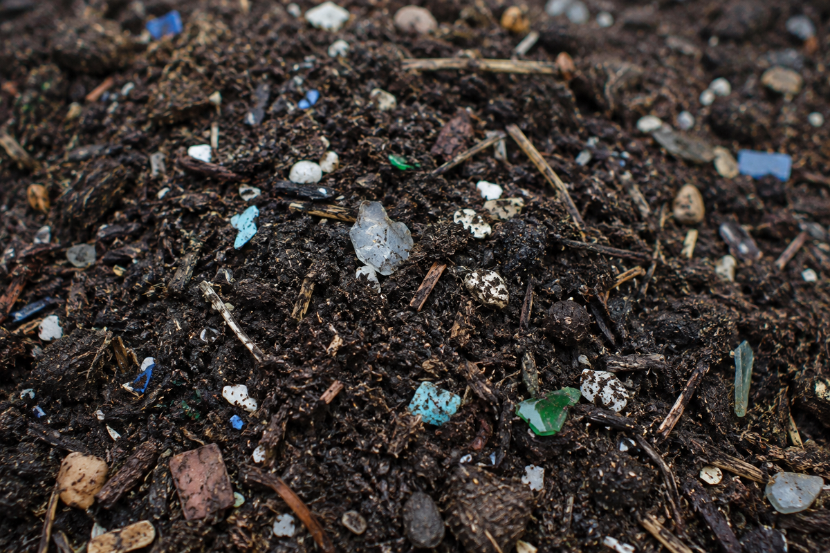 Compost containing visible plastic contamination